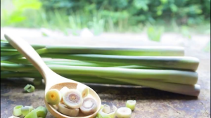 Tinh Dầu Sả Chanh nguyên chất An Thiên (Lọ 50ml) - Lemongrass essential oil
