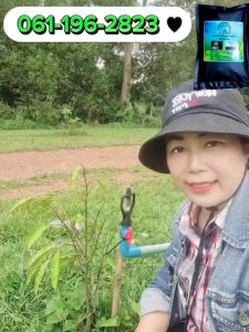 มาก 60 ประมาณ ผลิตภัณฑ์ สร้างความสมดุลให้พืชสมบูรณ์ (ระเบิดราก กระชากใบ)