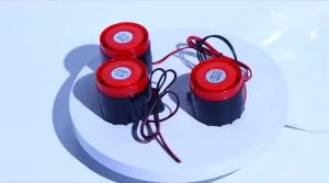EELHOE | 1Pcs High Decibel Sound And Light Alarm 12V 24V 220V Buzzer Anti-theft Audio Electronic Horn Waterproof Dustproof