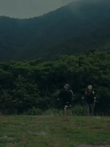 Naturehike  Carbon Fiber Professional Outdoor Hiking Walking Stick Men and Women Climbing Super Light Retractable ext1