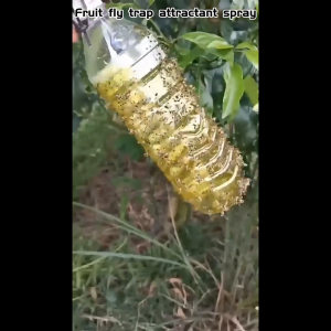 Add methyl eugenol Fruit fly trap spray 260ML-450ML optional Fruit fly traps Orchard insect traps