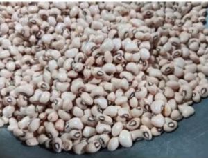 WHITE BEANS Available (1kg500g250g)