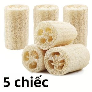 5 Miếng Bọt Biển Tự Nhiên Loofah Chất Lượng Cao Dùng Làm Khăn Lau Nhà Bếp & Phòng Tắm Lý Tưởng Để Tẩy Tế Bào Chết Và Loại Bỏ Vết Bẩn