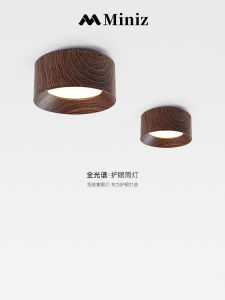 Tích Hợp Đèn Trợ Sáng Gắn Trần Họa Tiết Hạt Óc Chó Retro Phong Cách Trung Hoa Mới Hành Lang Phòng Khách Lối Vào吸顶灯 Bảo Vệ Mắt