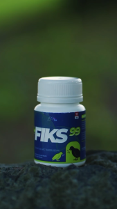 JAMU FIKS 99 MENGATASI NGOROK PILEK BERAK KAPUR HIJAU ( produksi jamu eltie 99)