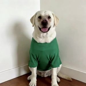 Spring Summer Cooling Pet Dog Vest Soft Breathable Clothes Summer Casual Shirts Medium Large Dog Labrador Samoyed Pet Supplies