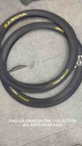RAGUSA TIRE COLLECTION: RAGON RACE & CAMERON ALL SIZES WIRED (2pcs) + E-BIKE TIRE (1pc)
