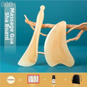 DONGZHIHUI | Buffalo Horn Gua Sha Scraping Tool