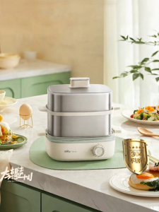 Bear | Multi-functional Home Electric Steamer Large Capacity