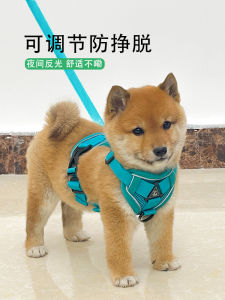 Anti-Escape Dog Leash Vest-Style Small Dog Harness Walking Rope for Chihuahua Teddy Bichon Dog Leash Non-Slip Pet Supplies