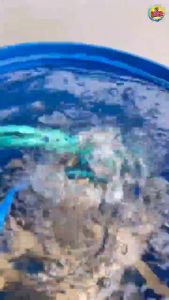 Pompa Air Modifikasi hemat listrik pompa celup ESSE NATIONAL untuk pengisian kolam ikan lele