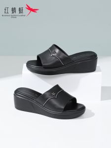 Reddragonfly | Non-slip Soft Bottom Slippers