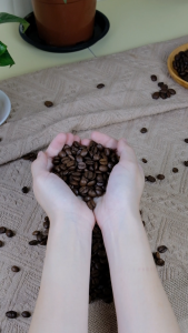 Sin Sing Coffee Bean Arabica Colombia Biji Kopi 500g |Medium Roast / Panggang Sederhana (Halal)