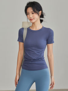 Lanwen | Slim Fit Breathable Professional Training Shirt for Sports