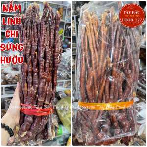 ( MUA LẺ - SỈ  GIÁ GỐC ) Nấm Linh Chi Sừng Hươu 1kg (Nấm Sừng Hươu) -Tây Bắc Food 277