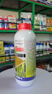 คาซูก้าจีแอล 1 L คาซูก้ามัยซิน 2% SLสารป้องกำจัดโรคใบไหม้ ขอบใบเเห้ง โรคเน่าคอรวงในข้าว โรคใบเน่า โรคโคนเน่ คาซูก้าไมซิน