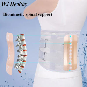 【WJ】Self heating waist belt Adjustable hot pressed steel plate lumbar belt Breathable lumbar support