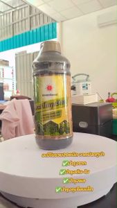 อะมิโนทุเรียน สำหรับทุเรียนโดยเฉพาะ เข้มข้นสูง แอลอะมิโนแท้ ขนาด 1 ลิตร ดวงตะวันเพชร