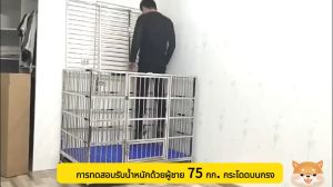 รับประกัน5ปี ส่งฟรี กรงสุนัขสแตนเลส กรงสุนัข Grade 202 ป้องกันสนิม กรงหมา พร้อมถาดและล้อเงียบ กรงสุนัขขนาดใหญ่