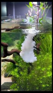 Voonline β3 Nitrifying Bacteria Nitrobacter Nitrifier for Aquarium Fish Tank 500ML/1000ML  硝化细菌(READY STOCK)