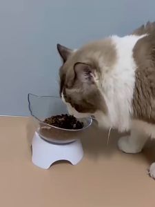 PET DIARY: Mangkuk Plastik Lindung Leher Pet