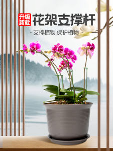 Pergola Support Rod Butterfly Orchid Support Special Anti-Lodging Orchid Support Rod Plant Shape Household Fixed Shelf