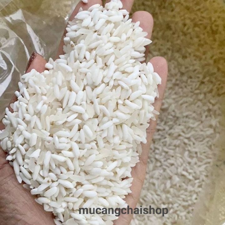 G%E1%BA%A1o%20n%E1%BA%BFp%20n%C6%B0%C6%A1ng%20%C4%90i%E1%BB%87n%20Bi%C3%AAn%20chu%E1%BA%A9n%20g%E1%BA%A1o%20ng%C6%B0%E1%BB%9Di%20M%C3%B4ng%20t%C3%BAi%20500g%20-%20Image%205