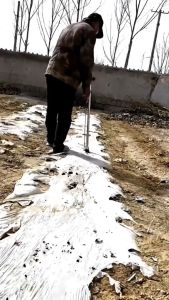 ALAT TANAM BENIH JAGUNG MANUAL kacang tanah kedelai benih biji-bijian