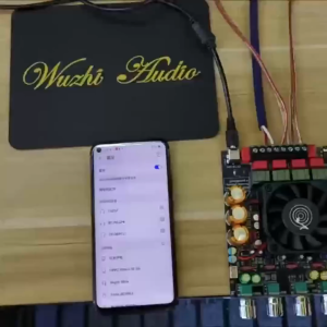 OK Music ZK-APTX3 Papan Penguat Bluetooth Qualcomm | 2.1 Saluran 300W + 300W + 600W | Chip TPA3255