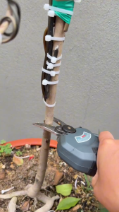 Kéo cắt cành dùng pin WORKFIX WF-CP30BL - Màn hình led báo % Pin - Công tắc bóp - Cắt tỉa cành cây..