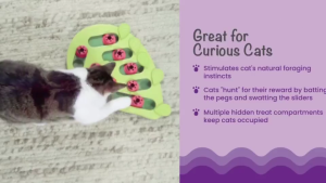 SG STOCK Cat Interactive Slow Food Bowl Pet Puzzle Relieve Boredom Handy Tool Suitable for Cats and Dogs