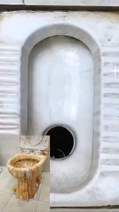 Bathroom Cleaner 99.9% Antibacterial  Toilet Bowl Cleaner Tile Cleaner 500G Not Pungent