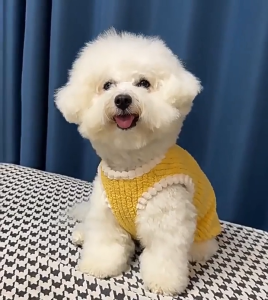 Áo lông gile mềm mịn giữ ấm cho Chó Mèo (Mẫu mới) - Hara Pet Store