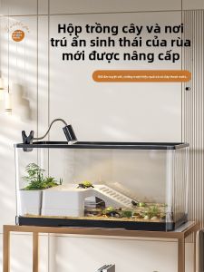 KUOTING | Home Small Turtle Aquarium with Eco-Scene Basking Platform