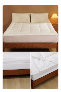 FUANNA (富安娜) | Antibacterial Student Dormitory Children Home Use Xinjiang Cotton Mattress Pad