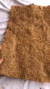 Lembaran Sabut Kelapa & Karpet Terrarium: Panduan Lengkap