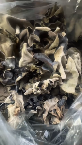 Mộc Nhĩ Nấm Mèo Khô - Thái Sợi Loại 1 Thơm Ngon. Túi 100G.200G.500G||HAMIFOODS