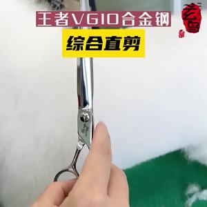 Fenice | High-end Professional Straight Pet Grooming Scissors