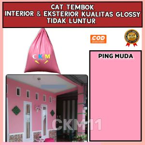 Cat minyak dinding tembok 1 kg / bisa untuk kamar mandi tahan air