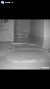 【✅SG stock】5Pcs/pack Strong Sticky Mouse Traps Rat Glue Board Traps Glue Catch Rodent Trap