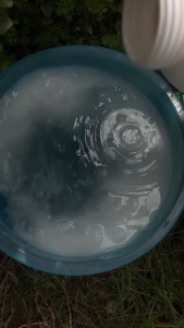 คุมไข่เเมลง🌱เนเจอร์ออยล์ น้ำใส (Natural oil 95%) ยับยั้งการลอกคราบของแมลง กำจัดพลี้ยหอย เพลี้ยแป้ง 1 ลิตร