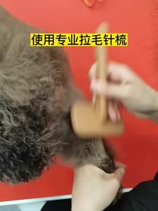 Fenice | Cọ Chải Gỡ Rối Làm Phồng Lông Thú Cưng