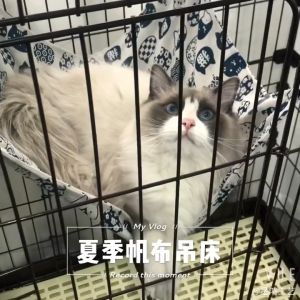 เปลแมว ที่นอนแมวแขวนกรง เปลแขวนกรง ขนาด60*50cm สำหรับแขวนไว้ในกรง เปลแขวนกรง เปลแมว เปลญวน