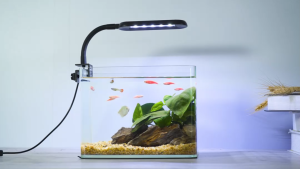 Hygger Nano Clip-on Aquarium Light HG033-6W. Flexible neck adjustable clip USB power 3 light modes 2-year warranty.