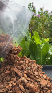 เอ็นกรีน มะพร้าวสับแกงใต้เก่า ใช้ได้ทันที ไม่ต้องล้างน้ำ l Engreen