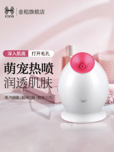 Mini Facial Steamer Beauty Device Home Use Spray Machine Hot Spray Steaming Moisturizing Device Compact Portable Humidifier