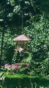Bird Feeder Automatic Foot Feeding Tool Outdoor Bird Feeder Hanging Nut Feeding Multiple Hole Dispenser Holder Food Container