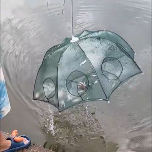 (แพ๊ค 5 ชิ้น) ที่ดักปลา ดักกุ้ง มุ้งดักปลา 4ช่อง 6 ช่อง 8 ช่อง 10 ช่อง ตาข่ายดักปลา ดักจับกุ้งปลา พับเก็บได้ ดักกุ้งฝอย ปลีก/ส่ง