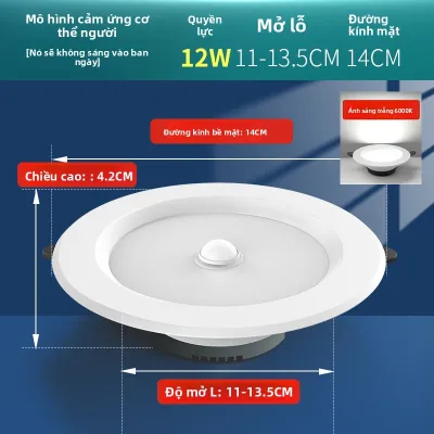 SAINAHEPAN | Đèn Trần Điều Khiển Giọng Nói & Cảm Biến Chuyển Động