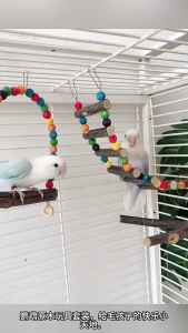 🇸🇬 Small Parrot Bird Toys Set: Cage Swing Ladder Perch & Climbing Accessories